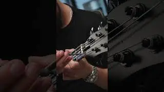 Warwick Thumb NT - Custom Shop #24-4434 - Nirvana Black - Final Setup
