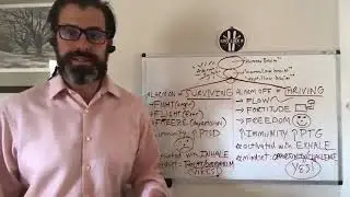 Surviving Mode Vs. Thriving Mode with Mike Boyle, LMFT, CDBT