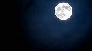 Depeche Mode - But Not Tonight  (Robert Margouleff U.S  7