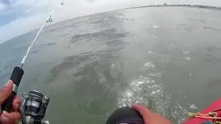 Corvina en kayak Claromec&oacute;