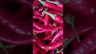 jablai turun lagi terus menerus #hargasayur #hargasayur #sayurpasar #food #sayursopenak