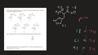 Acidity 5 - pKa and Amino Acid Question