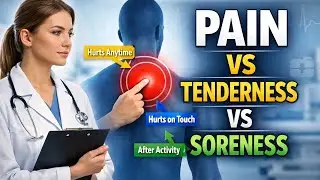 Pain vs Tenderness vs Soreness &mdash; What Your Patient REALLY Means|Zeenad Learning Hub
