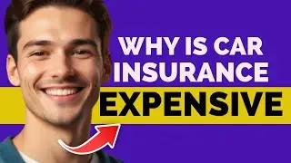 Why Is Car Insurance So Expensive | Why Is My Car Insurance So Expensive