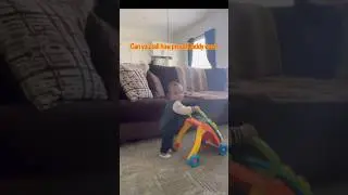 He&rsquo;s Goin Crazy‼️ #first #steps #baby #family #goals #milestone #big #vlog #parenting #gif#shorts