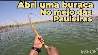 Pescaria raiz não  dava tempo do 🦐 camarão chegar no fundo,
