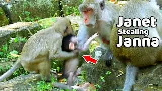 Because of Jealous ,Janet steal sister Janna from mom, Jane not let Janet did wrong try drag back