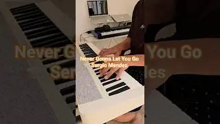 Never Gonna Let You Go (Sergio Mendes)| Casio CT-S1 #casiocts1 #sergiomendes #pianocover