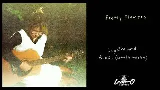Lily Seabird - Pretty Flowers