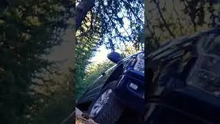 Little offroading in a 2017 f150 on wildpeak at3w