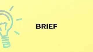What is the meaning of the word BRIEF?