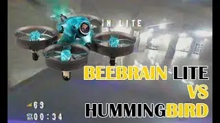 BEEBRAIN LITE VS HUMMINGBIRD - NEWBEEDRONE