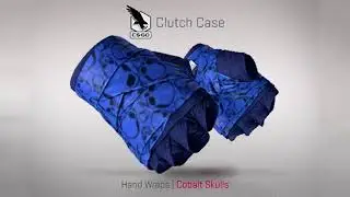 BRAND NEW CSGO SKINS AND GLOVES THE NEW 