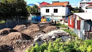Great Smart Bulldozer Trimming Slope Into Water And Cutting Land With Skills KOMAT'SU Dozer D31P