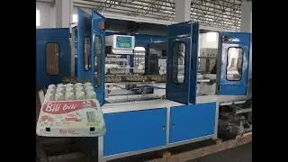 foam food box printer,foam lunch box printing machine,foam lunch tray printing equiment