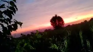 connect yourself with nature