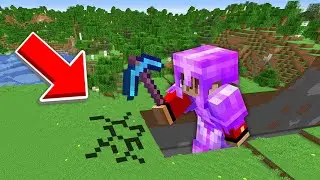 Minecraft, aber du KANNST deine GRÖßE KONTROLLIEREN!