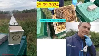 Bergfest - Bienenvölker gucken