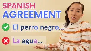 Spanish Agreement: Learn this rule EASILY (and the exceptions)