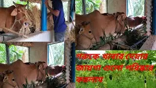 গরুকে খাবার দেওয়ার জায়গাগুলো পরিষ্কার করলাম🐄❤️