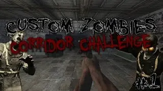 Custom Zombies | 