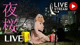 夜桜ライブ🌸🌸🌸🍻