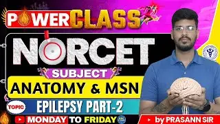 Anatomy & Medical Surgical Nursing | Epilepsy &ndash; Part 2 (Clinical Approach & Management) #norcet