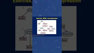 Robert Lustig, MD: BDNF is the Driver of Mental Function Due to Exercise