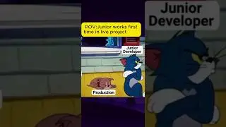 Junior Developer 😁