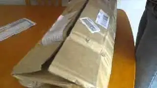 Custom House Ai Dolls BJD Review Part 1 - The Box Opening