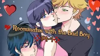 💘 Roommates with the Bad Boy 💞Pt-1💞 A Miraculous Ladybug Texting Story