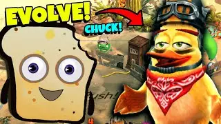 ANGRY BIRDS EVOLUTION 2021 - EVOLVE CHUCK TO NEXT LEVEL!
