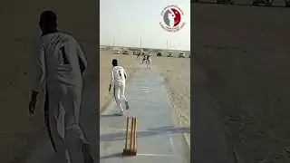 One, Two and Three bold Cricket #cricket #sweep #cricketlover #square  #helicopter #کرکٹ #ipl #pull