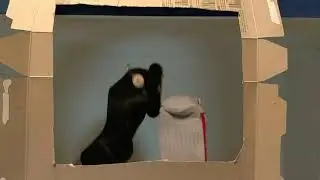 Epic sock puppet show