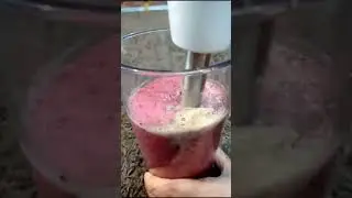 LETS MAKE GREWIA ASIATICA JUICE