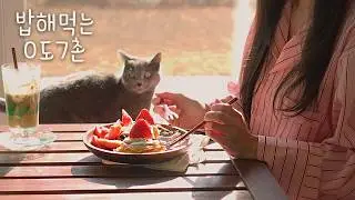 입안에서 녹아내리는 겨울, 딸기 수플레 🍓와 수제 함박스테이크로 차린 주택의 점심