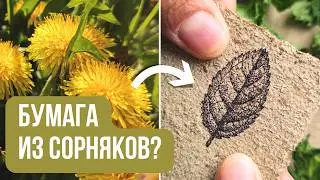 Моя коллекция &laquo;ЖИВОЙ&raquo; бумаги ✨ Одуванчик, крапива, тополиный пух: честный тест и обзор