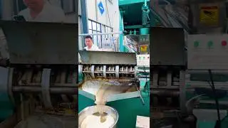 6YL-235 screw oil press machine to cold press sunflower oil (with shell)#oilpress #machine#factory