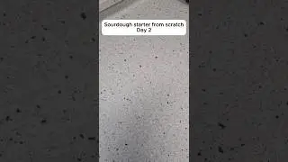 Sourdough starter from scratch Day 2