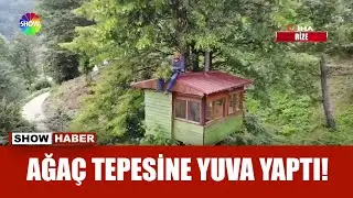 Karadeniz usulü ağaç ev!