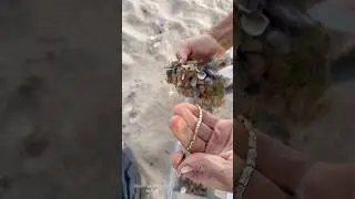 SHOCKING Discovery! Found an ANCIENT GOLD CHAIN While Cleaning the Beach! #treasuresearch