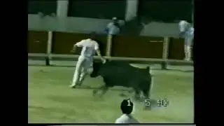 Cogidas 1990