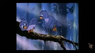 Cindy Bear Song