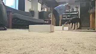 Zeva Nosework Container Search 4