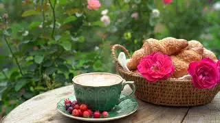 December Morning Jazz Positive jazz Music and December Bossa Nova for working, studying & relaxing