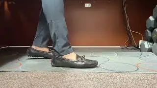 Cole Haans X Nunn Bush X Nikes