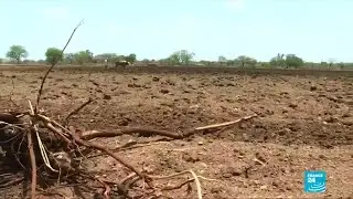 Water shortages in India due to record heatwave