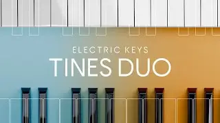 Meet Electric Keys &ndash; Diamond and Phoenix | Native Instruments