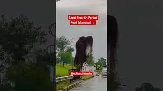 Ghost Tree- Parbat Road F-7/4 Islamabad 👻🌲👹