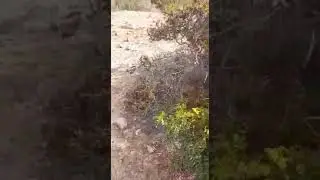 terreno el arrayan costero